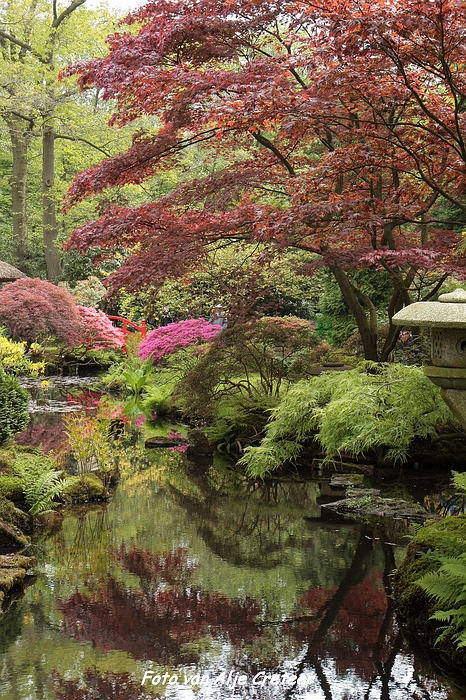 Japanse Tuin67.JPG