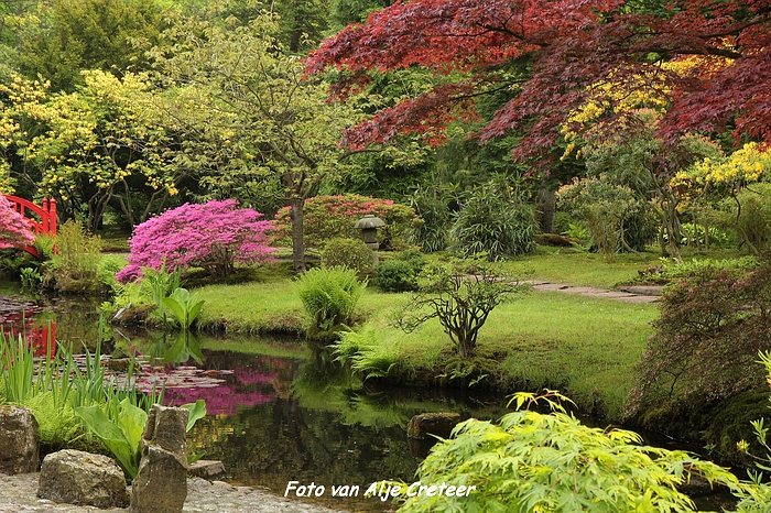 Japanse Tuin73.JPG