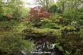 Japanse Tuin21
