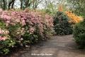 Japanse Tuin3