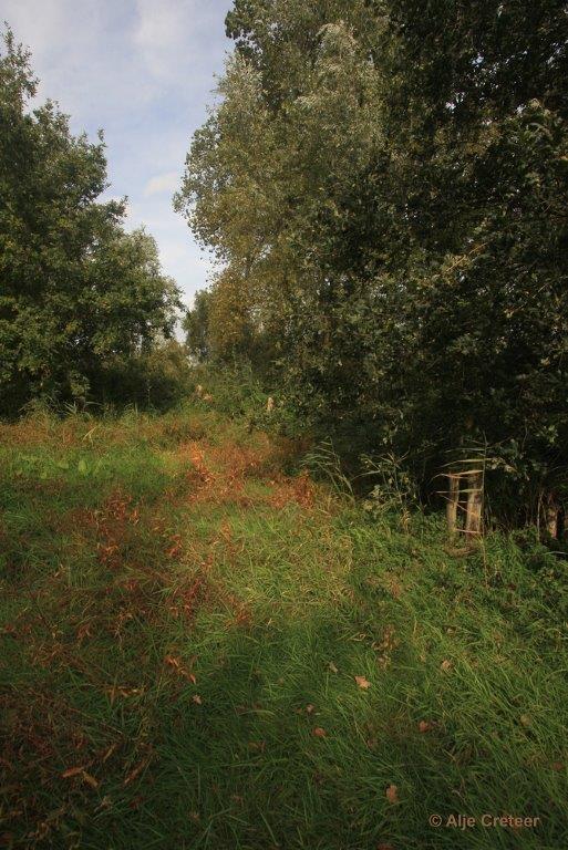 Herfstplaatjes 03.jpg - De herfst is begonnen