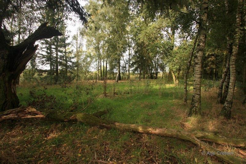 Herfstplaatjes 04.jpg - De herfst is begonnen