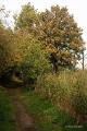Herfstplaatjes 08