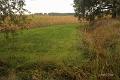 Herfstplaatjes 31