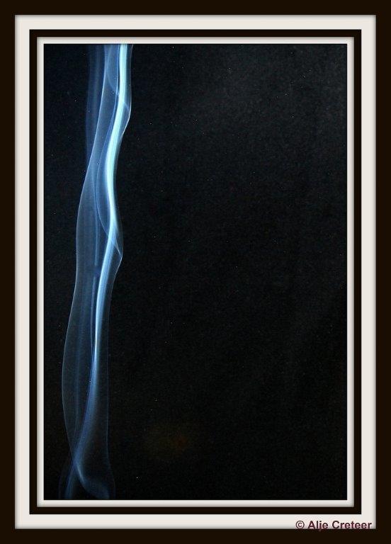 Rook selectie  05-001.jpg - Rook Workshop 2015