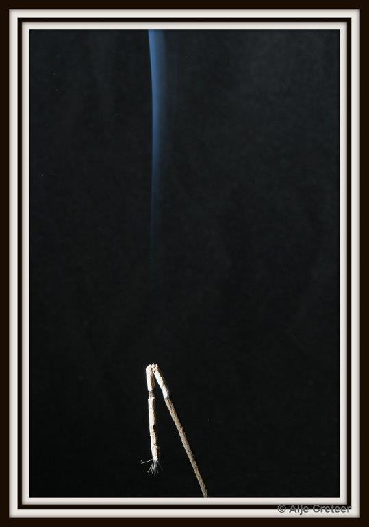 Rook selectie  09-001.jpg - Rook Workshop 2015