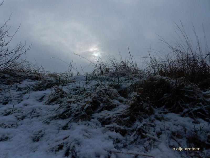 Wandeling 15 Januari 2017  63.jpg - Snertwandeling 2017