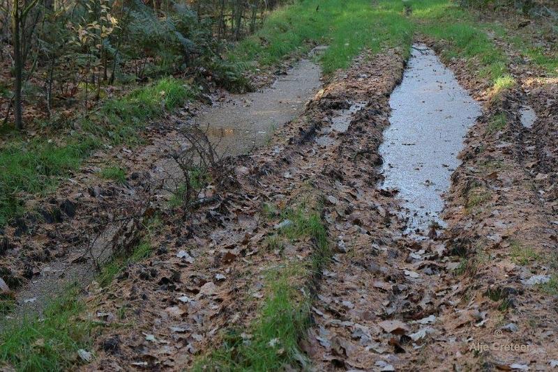 Wandeling 22 November  2017  35.jpg - Wandeling 22 november 2017