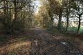 Wandeling 22 November  2017  15