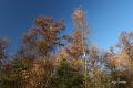 Wandeling 22 November  2017  23