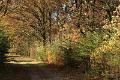 Wandeling 22 November  2017  45