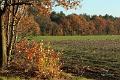 Wandeling 22 November  2017  51