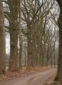 Wandeling 19 Februari 2017  11