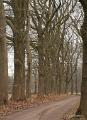 Wandeling 19 Februari 2017  11