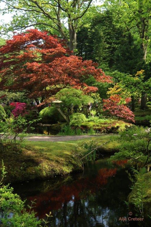 Japanse tuin 18.jpg - Japanse tuin Den Haag