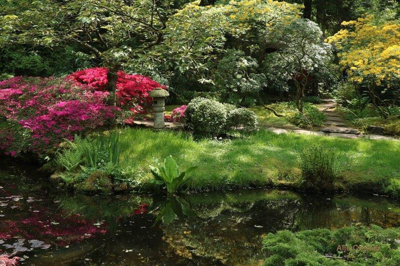 Japanse tuin 34.jpg - Japanse tuin Den Haag