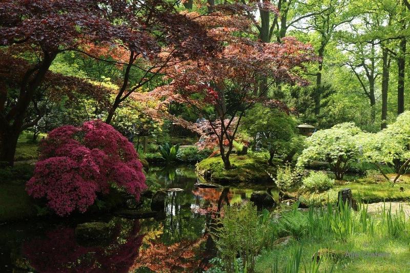 Japanse tuin 35.jpg - Japanse tuin Den Haag