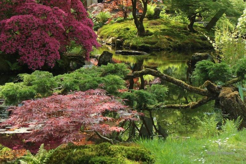 Japanse tuin 39.jpg - Japanse tuin Den Haag