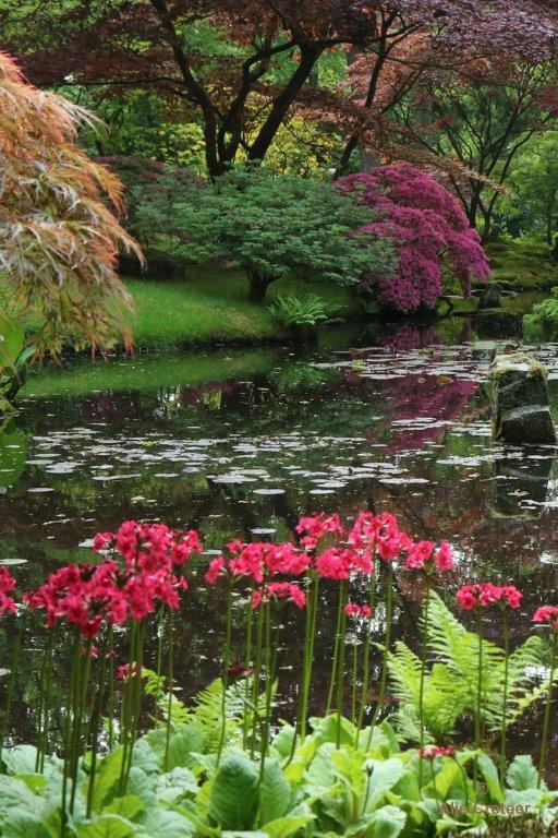 Japanse tuin 48.jpg - Japanse tuin Den Haag