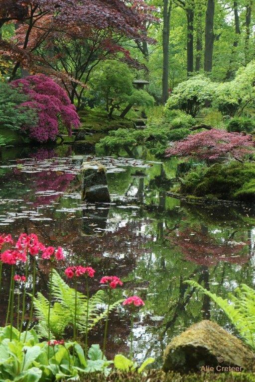 Japanse tuin 49.jpg - Japanse tuin Den Haag
