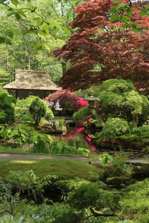 Japanse tuin 66.jpg - Japanse tuin Den Haag