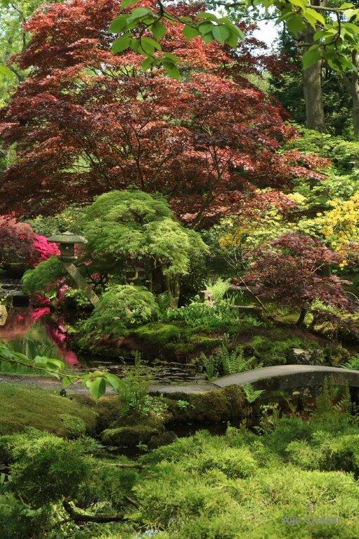 Japanse tuin 67.jpg - Japanse tuin Den Haag