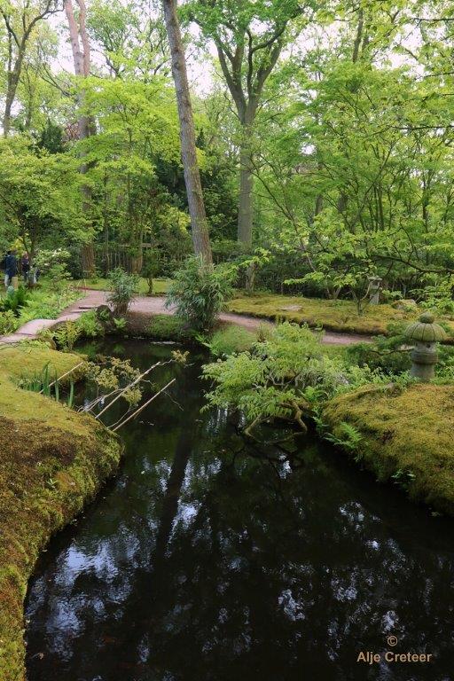 Japanse tuin 78.jpg - Japanse tuin Den Haag