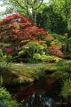 Japanse tuin 18