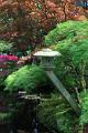 Japanse tuin 22