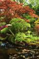 Japanse tuin 23