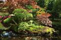 Japanse tuin 24