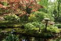 Japanse tuin 28