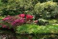 Japanse tuin 33