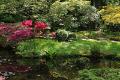Japanse tuin 34