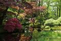Japanse tuin 35