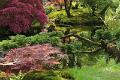 Japanse tuin 39