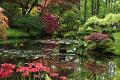 Japanse tuin 43