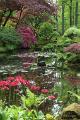 Japanse tuin 46