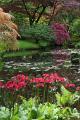 Japanse tuin 48
