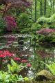 Japanse tuin 49
