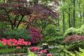 Japanse tuin 50