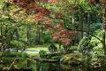 Japanse tuin 54
