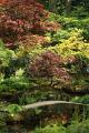 Japanse tuin 60