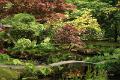 Japanse tuin 61