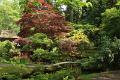 Japanse tuin 62