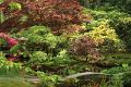 Japanse tuin 64