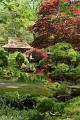 Japanse tuin 66