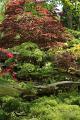 Japanse tuin 67