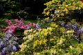 Japanse tuin 74