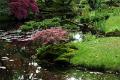 Japanse tuin 75